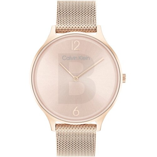 Ceas Calvin Klein Calvin Klein 25200002